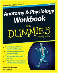 Anatomy and Physiology Workbook For Dummies - Janet Rae-Dupree