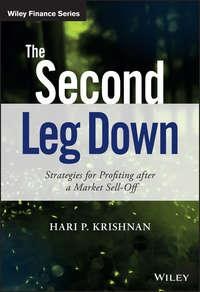 The Second Leg Down. Strategies for Profiting after a Market Sell-Off - Hari Krishnan