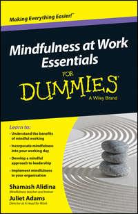 Mindfulness At Work Essentials For Dummies - Shamash Alidina