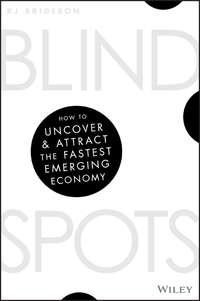 Blind Spots. How to uncover and attract the fastest emerging economy - RJ Brideson