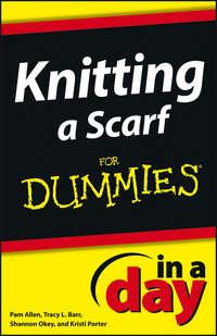 Knitting a Scarf In A Day For Dummies - Shannon Okey