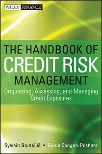 The Handbook of Credit Risk Management. Originating, Assessing, and Managing Credit Exposures - Sylvain Bouteille