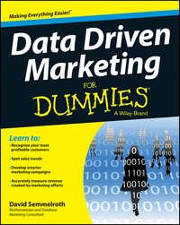 Data Driven Marketing For Dummies - David Semmelroth