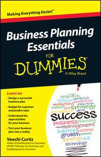 Business Planning Essentials For Dummies - Veechi Curtis