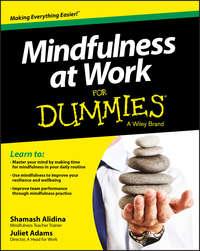 Mindfulness at Work For Dummies - Shamash Alidina