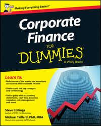 Corporate Finance For Dummies - UK - Steven Collings