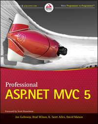 Professional ASP.NET MVC 5, Jon  Galloway аудиокнига. ISDN28272651