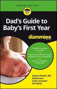 Dads Guide to Babys First Year For Dummies - Sharon Perkins