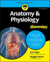 Anatomy and Physiology For Dummies, Erin  Odya audiobook. ISDN28278537