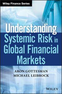 Understanding Systemic Risk in Global Financial Markets, Aron  Gottesman audiobook. ISDN28278555