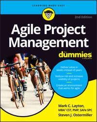 Agile Project Management For Dummies - Steven Ostermiller