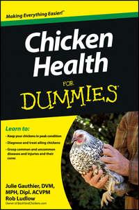 Chicken Health For Dummies, Julie  Gauthier audiobook. ISDN28279734