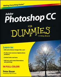 Photoshop CC For Dummies - Peter Bauer