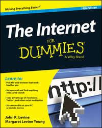The Internet For Dummies - John Levine