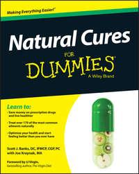 Natural Cures For Dummies, Joe  Kraynak audiobook. ISDN28280544