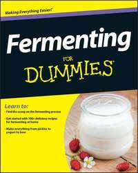 Fermenting For Dummies, Amelia  Jeanroy аудиокнига. ISDN28281786