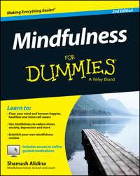 Mindfulness For Dummies - Shamash Alidina