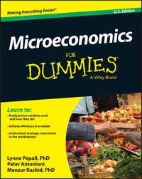 Microeconomics For Dummies, Peter  Antonioni audiobook. ISDN28282353
