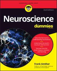 Neuroscience For Dummies, Frank  Amthor Hörbuch. ISDN28282389