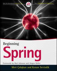 Beginning Spring, Rod  Johnson audiobook. ISDN28282848