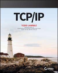 TCP / IP, Todd  Lammle Hörbuch. ISDN28282947