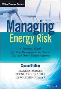 Managing Energy Risk. An Integrated View on Power and Other Energy Markets - Markus Burger
