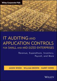 IT Auditing and Application Controls for Small and Mid-Sized Enterprises. Revenue, Expenditure, Inventory, Payroll, and More, William M. Brown аудиокнига. ISDN28282974