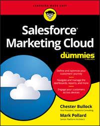 Salesforce Marketing Cloud For Dummies - Mark Pollard