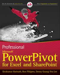 Professional Microsoft PowerPivot for Excel and SharePoint, Sivakumar  Harinath аудиокнига. ISDN28294467