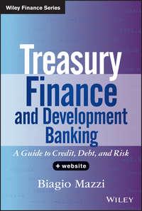 Treasury Finance and Development Banking. A Guide to Credit, Debt, and Risk - Biagio Mazzi