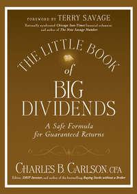 The Little Book of Big Dividends. A Safe Formula for Guaranteed Returns - Terry Savage