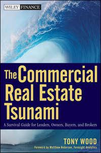The Commercial Real Estate Tsunami. A Survival Guide for Lenders, Owners, Buyers, and Brokers, Tony  Wood audiobook. ISDN28299120