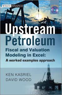 Upstream Petroleum Fiscal and Valuation Modeling in Excel. A Worked Examples Approach, David  Wood аудиокнига. ISDN28299264