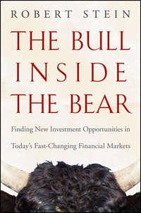 The Bull Inside the Bear. Finding New Investment Opportunities in Todays Fast-Changing Financial Markets - Robert Stein