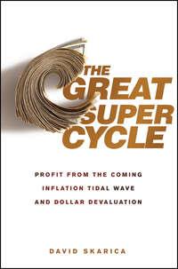 The Great Super Cycle. Profit from the Coming Inflation Tidal Wave and Dollar Devaluation, David  Skarica аудиокнига. ISDN28305168