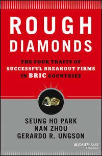 Rough Diamonds. The Four Traits of Successful Breakout Firms in BRIC Countries, Nan  Zhou аудиокнига. ISDN28307004
