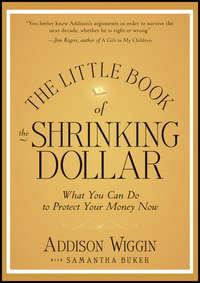 The Little Book of the Shrinking Dollar. What You Can Do to Protect Your Money Now, Addison  Wiggin аудиокнига. ISDN28308678