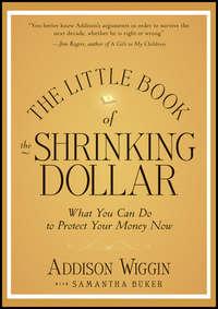 The Little Book of the Shrinking Dollar. What You Can Do to Protect Your Money Now - Addison Wiggin