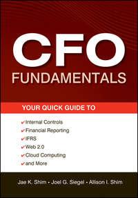 CFO Fundamentals. Your Quick Guide to Internal Controls, Financial Reporting, IFRS, Web 2.0, Cloud Computing, and More - Jae Shim