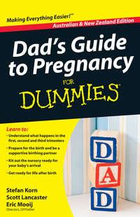 Dads Guide to Pregnancy For Dummies - Stefan Korn