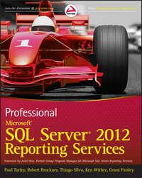 Professional Microsoft SQL Server 2012 Reporting Services, Paul  Turley аудиокнига. ISDN28311567
