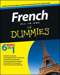 French All-in-One For Dummies - Consumer Dummies