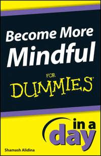 Become More Mindful In A Day For Dummies, Shamash  Alidina audiobook. ISDN28312188