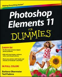 Photoshop Elements 11 For Dummies, Barbara  Obermeier książka audio. ISDN28312557