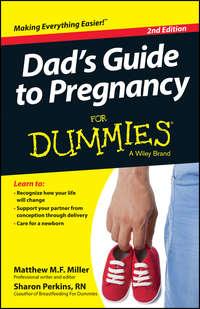 Dads Guide To Pregnancy For Dummies - Sharon Perkins