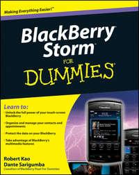 BlackBerry Storm For Dummies - Robert Kao