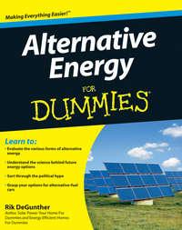 Alternative Energy For Dummies - Rik DeGunther
