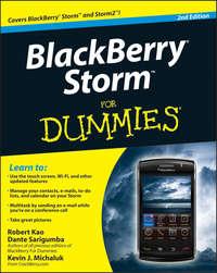 BlackBerry Storm For Dummies, Robert  Kao książka audio. ISDN28314339