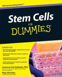 Stem Cells For Dummies - Meg Schneider