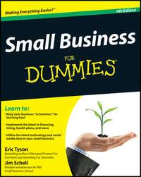 Small Business For Dummies - Eric Tyson